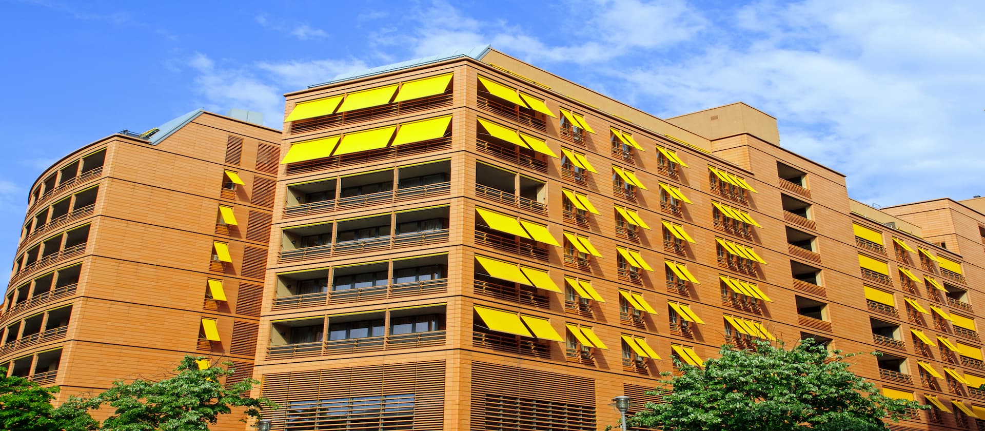Bedbox Hostel